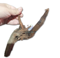 גזעים טבעים קטנים 10-25 ס"מ - 1 ק"ג