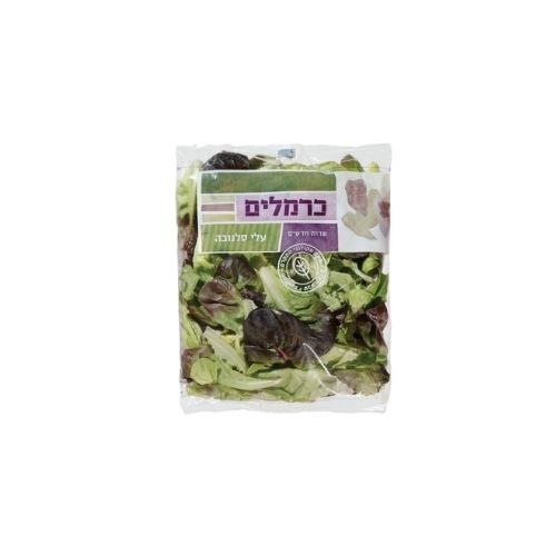 עלי סלנובה - שטראוס