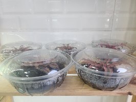 קרפטנטוס קופסה 2