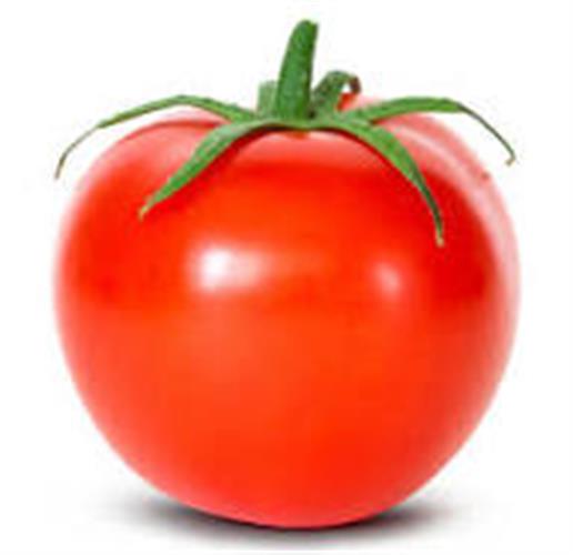 עגבניה