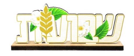 מרכז שולחן עץ שבועות שמח