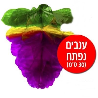 קישוט לסוכה - ענבים נפתח 30 ס"מ