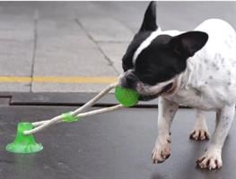 צעצוע מיוחד לכלב - משחק משיכה
