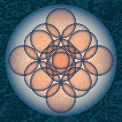 EMBRYO / AUF AUF
