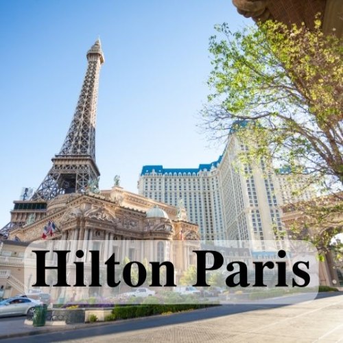 שמן למפיץ ריח בהשראת בושם Hilton Paris