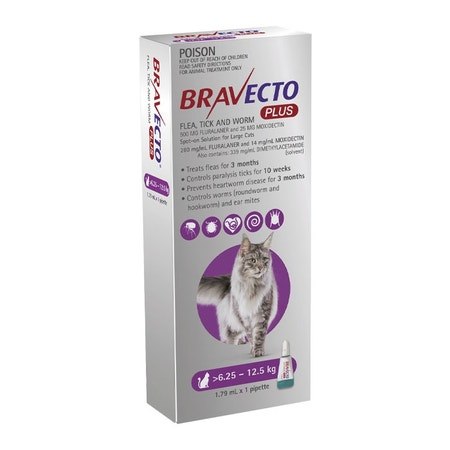 Bravecto Plus spot on for cat 6.25-12 kg