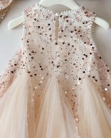 Champagne Tulle