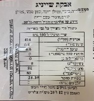 אבקת שיינינג 300 גר