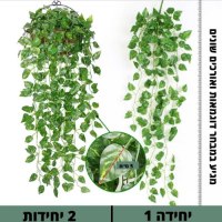 צמחים-נופלים-לתלייה-במגוון-דוגמאות-3