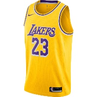 Nike LeBron James Los Angeles Lakers  Icon Edition NBA Swingman Jersey