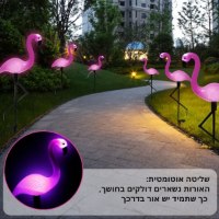 פלמינגו-מואר-סולארי-3