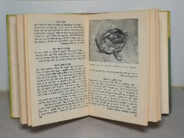 ספר שנתון לנוער מולדתי 1961 התשכ"א קק"ל הסוכנות היהודית וינטאג'