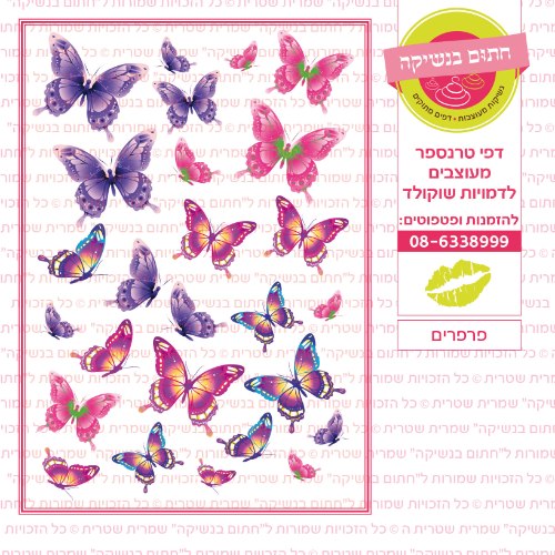 פרפרים