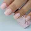 Blush Lovely - ג