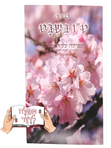 ברכון סדר ט"ו בשבט