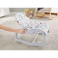 פישר פרייס - נדנדה 2 ב-1 עיצוב מודרני - FISHER PRICE GWD39
