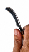 סכין מעוקלת לגילוף כפות hook knife 6  open curve