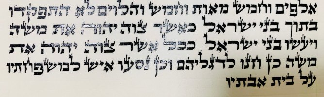 ספר תורה בית יוסף האר"י
