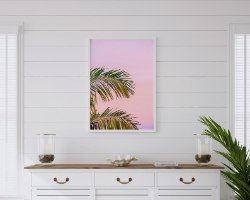 "Palms&Pink" תמונת קנבס עלי דקל ושמיים ורודים |בודדת או לשילוב בקיר גלריה | תמונות לבית ולמשרד