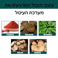 מדבקות לטיפול במערכת העיכול ובעצירות-ClearGut