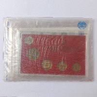 סדרת מטבעות רגילים חנוכה התש"ן- שנת 1989, החברה הממשלתית למדליות ולמטבעות