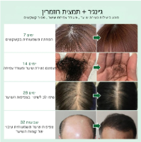 שמן רוזמרין PURC לעידוד צמיחת השיער