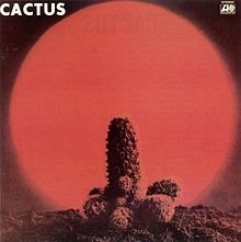 CACTUS / CACTUS -HQ-
