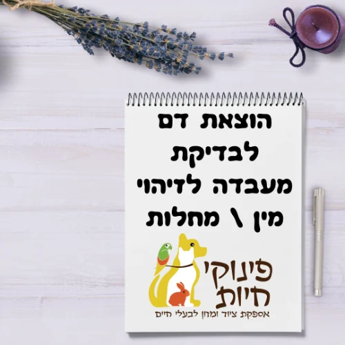 הוצאת דם לבדיקת מעבדה לזיהוי מין \ מחלות