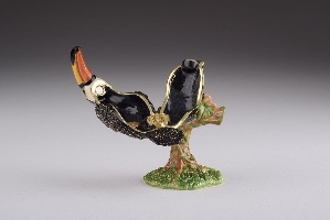 Toucan Bird