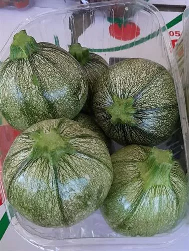 קופסה קישואים עגולים