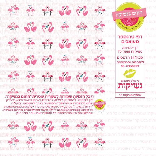 אהבה נשיקות 18- טרנספר