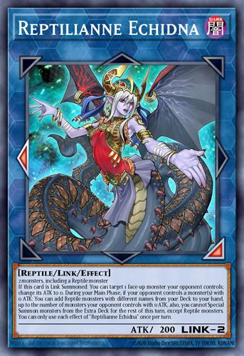 קלף פוקימון בודד single - reptilianne echidna – Duel Overload – 16