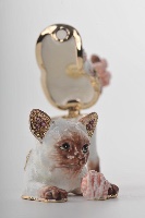 Cat Playing