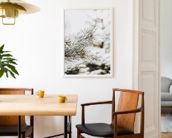 תמונת קנבס הדפס מינימאליסטי "מחטי עץ הצפון" |בודדת או לשילוב בקיר גלריה | תמונות לבית ולמשרד
