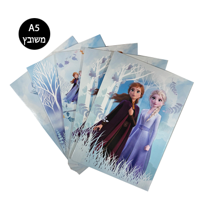 מארז 5 מחברות סיכה חשבון - פרוזן