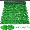 גדר עלי קיסוס ירוקים - גדר עלים דקורטיבית במגוון דגמים