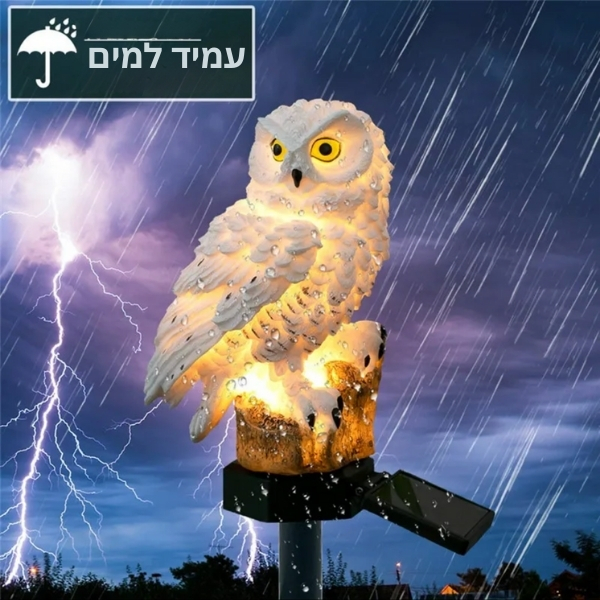 ינשוף-מואר-סולארי-8