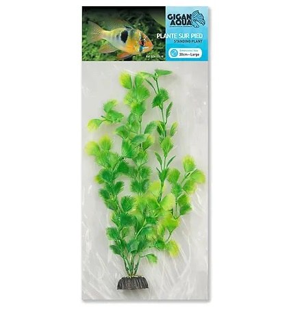 צמח ירוק עלי פטרוזיליה 30 ס"מ GIGAN
