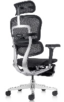 כיסא משרד קומפורט Ergohuman Pro בעיצוב מודרני ונוח במיוחד