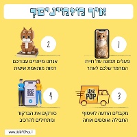 בריק פופ - דמות של החתול שלכם מקוביות הרכבה בעיצוב אישי