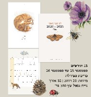 לוח שנה מאוייר 25-26