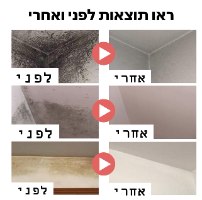 ג'ל להשמדת עובש