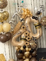 Birthday in Style – עיצוב מנומר