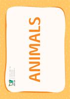 קטגוריה – חיות בר (כרטיסי הברקה)| Zoo Animals Flashcards
