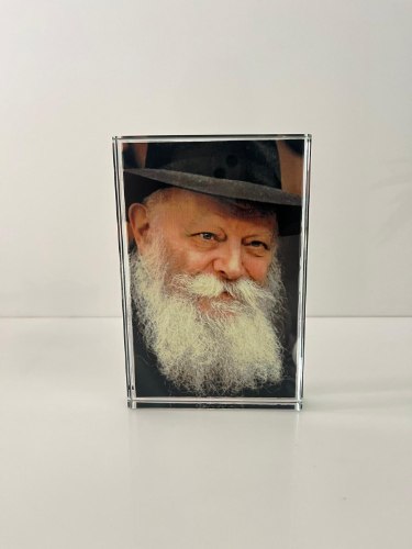 מעמד זכוכית קריסטל-הרבי מלובביץ, רבי מנחם מענדל שניאורסון