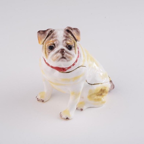 white bulldog dog