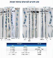 גופיית ציצית מידות 4 - 18