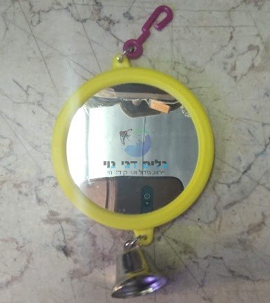 מראה נתלית לתוכי