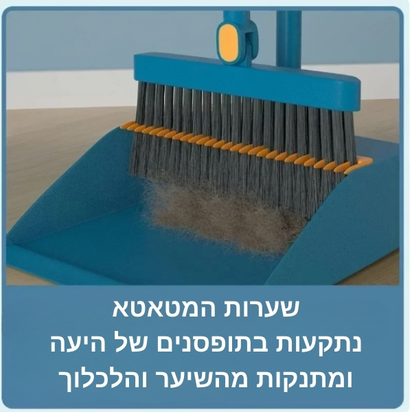 מטאטא-יעה-שיערות