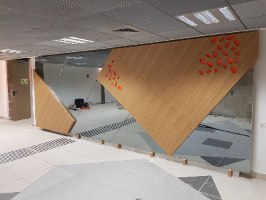 מראה אפורה בי"ח ברזילי